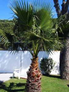 Privé tuin