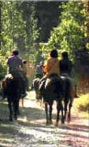 Ride in the beautiful unspoilt countryside